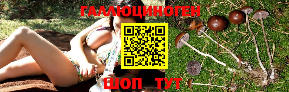 Галлюциногенные грибы GOLDEN TEACHER  Псилоцибиновые грибы Psilocybe  Вход с VPN  Сарапул 